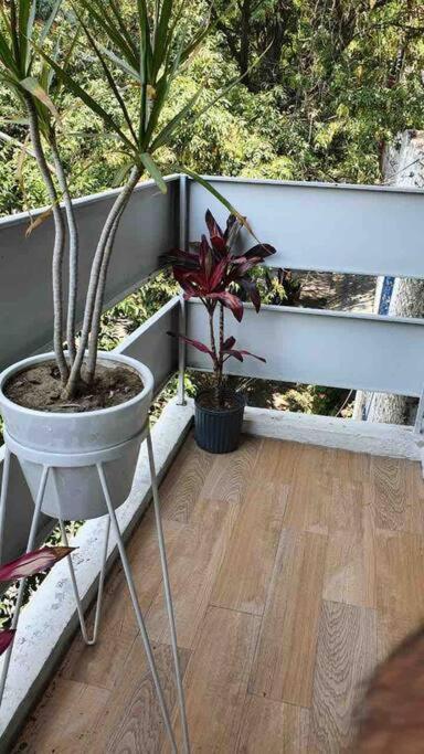 Cozy Apartment In Condesa'S Heart ! Мехико Экстерьер фото