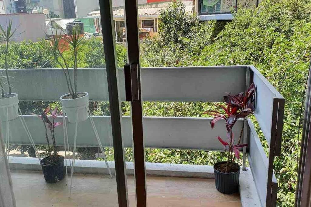 Cozy Apartment In Condesa'S Heart ! Мехико Экстерьер фото